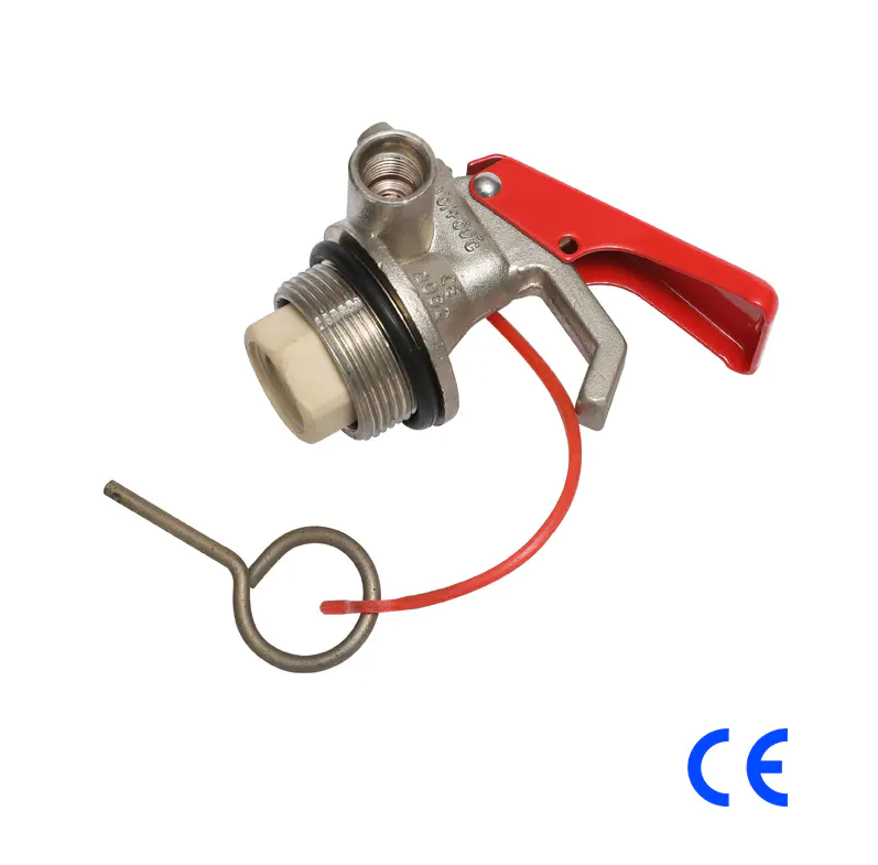 Qual è il ruolo dell'anello di tenuta nella valvola a secco? In che modo garantisce l'efficace sigillatura della valvola?